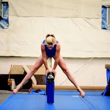 Image result for Aspire Gym Academy