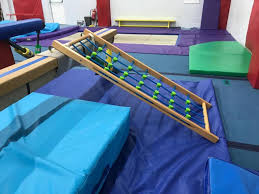 Image result for Pinewood Gymnastics Club