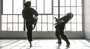 Image result for Vision Martial Arts