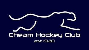 Image result for Hersham Hockey Club