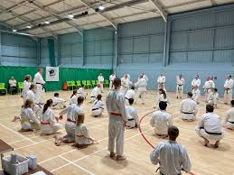 Image result for Woodley Karate Club