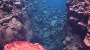 Image result for Notanx Freedive Club