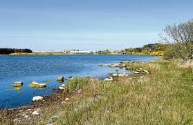 Image result for Aberdeen & District Angling Association