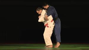 Image result for Judo Excellence