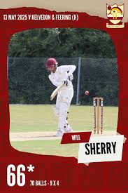 Image result for Braintree Cricket Club