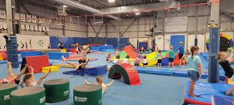 Image result for Kingston Gymnastics