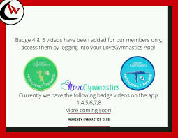 Image result for Waveney Gymnastics Club