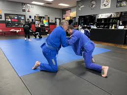 Image result for America's Best Karate