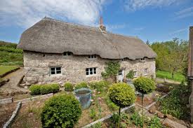 Image result for Newton Abbott Knights