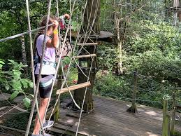 Image result for Go Ape! Leeds Castle