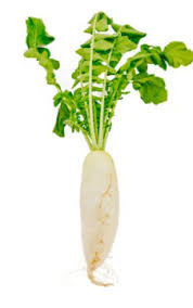 Image result for Rettich