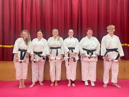 Image result for Northern Freestyle Karate Association