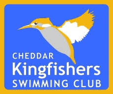 Image result for Kingsbridge Kingfishers Swimming Club