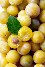 Attēlu rezultāti vaicājumam “Prunus domestica subsp. domestica fruit”