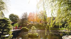 Image result for japanese gardens...