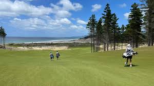 Image result for Plymouth Swallows Gc