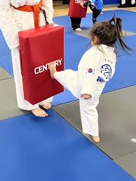 Image result for Suwanee Martial Arts Center