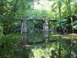 Image result for Bristol Orienteering Klub