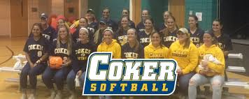 Image result for Chesterfield Cobras Volleyball Club