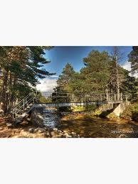 Image result for The Cairngorm Club