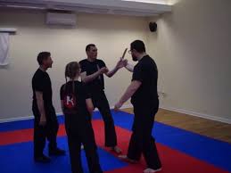 Image result for Budo Shin Ryu Kempo Jujitsu Academy