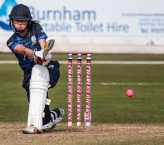 Image result for Bridgwater Cricket Club