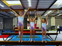 Image result for Monarchs Sports Acrobatics Club