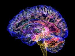 Image result for consciousness