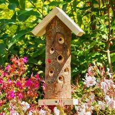 Image result for ladybug house