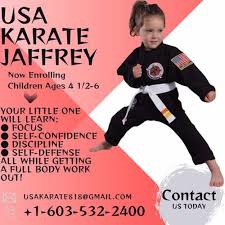 Image result for Northern Freestyle Karate Association