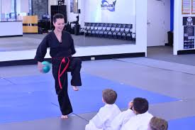 Image result for Skillz Martial Arts