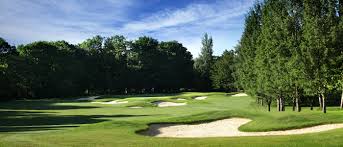 Image result for Reigate Heath Golf Club