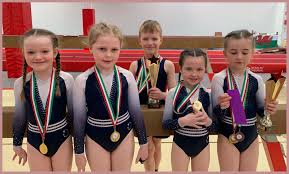 Image result for Buckley Girls Gymnastic Club
