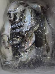 Image result for 全員５０