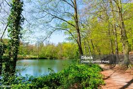 Image result for sonsbeek park