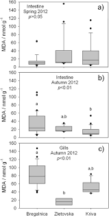 Image result for Squalius vardarensis