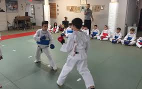 Image result for Synergy Tae Kwon Do