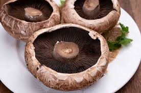 Image result for Portobello Asc