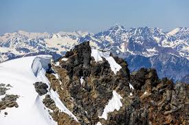 Image result for Birkenhead Sc