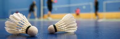 Image result for Stonehenge Badminton Club