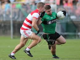 Image result for Patrick Sarsfield Gaelic Athletic Club