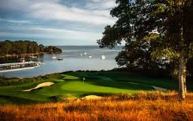 Image result for Falmouth and Helston Octopush Club