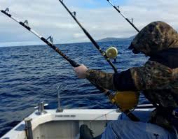 Image result for Blackpool Boat Angling Club