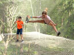Image result for Go Ape! Alice Holt