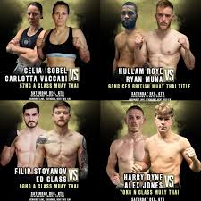 Image result for JTT Muay Thai