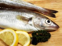 Image result for Merlangius merlangus