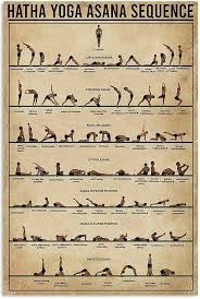 Image result for Hatha Yoga Club