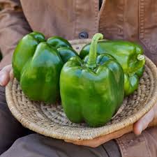 Afbeeldingsresultaat voor giant 3 sweet pepper