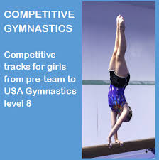 Image result for Hull High Flyers Gymnastics Club