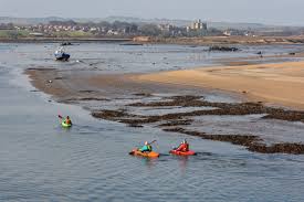 Image result for Coquet Canoe Club